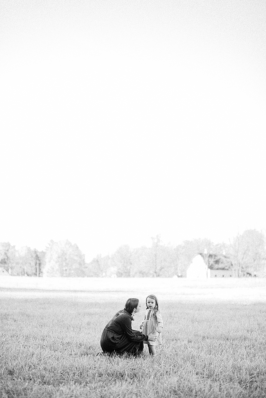 Indianapolis family photographer, Indianapolis wedding photographer, Ashley Link photography