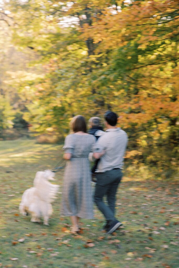 Adventurous and Playful Fall Family Session